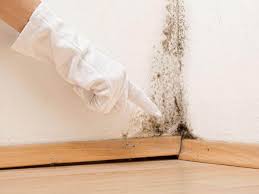 Best Real Estate Mold Inspection  in Ben Avon, PA